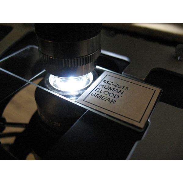 Optika Microscopio B-383DK-Campo oscuro, trinocular, X-LED,