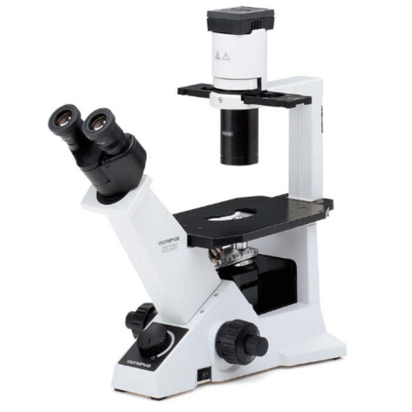 Evident Olympus Microscopio invertido CKX31 Bright Field, Hal, bino, 40x, 100x, 200x, 400x