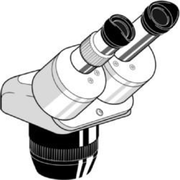 Euromex Microscopio stereo zoom Cabezal estéreo EE.1523, binocular