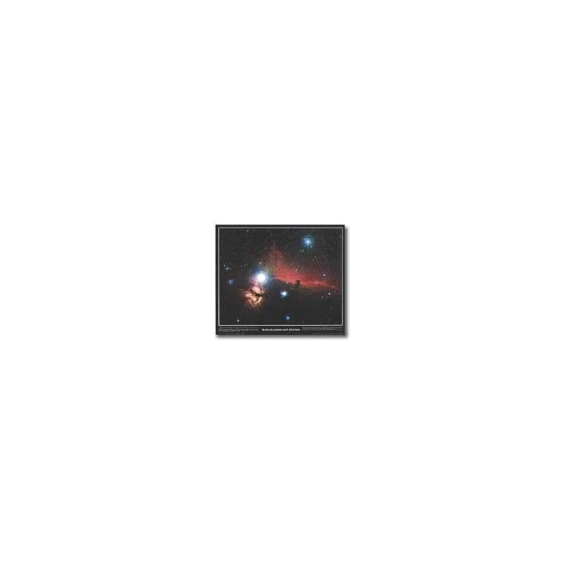Póster Nebulosa Cabeza de Caballo