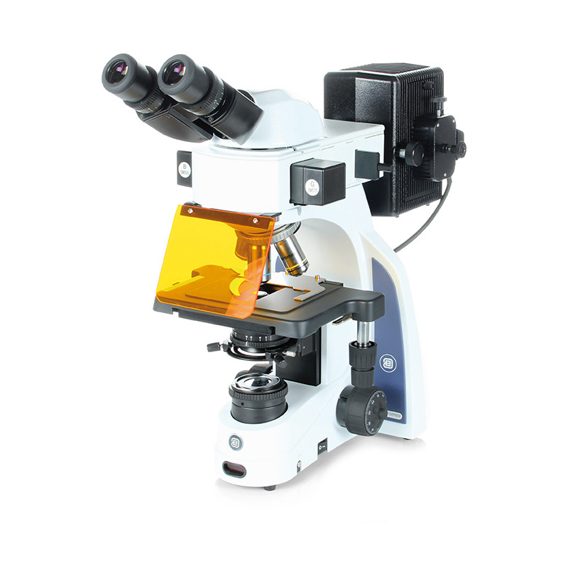 Euromex Microscopio iScope,  IS.3152-PLFi/3, bino