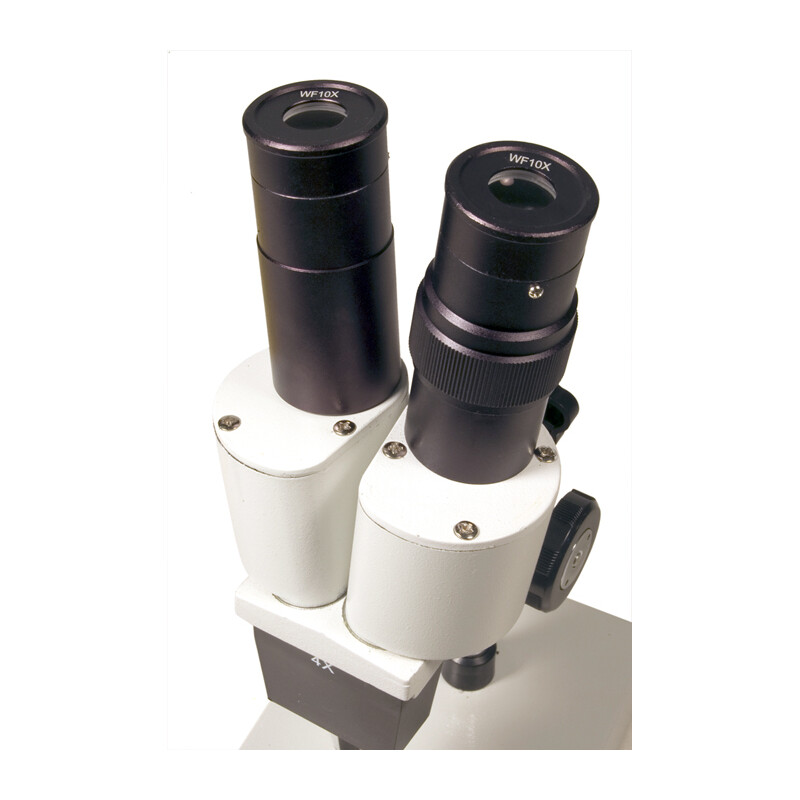 Levenhuk Microscopio estereo 2ST 40x