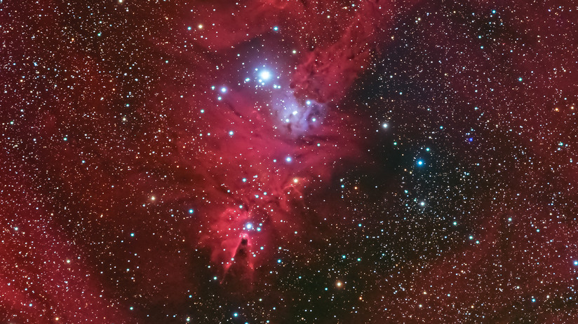 El cúmulo del Árbol de Navidad NGC 2264, con la Nebulosa del Cono —una nebulosa oscura— justo debajo. Tragoolchitr Jittasaiyapan