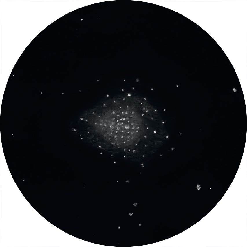 Imagen de Messier 71 con un Newton de 14" a 114 aumentos. Oliver Stein