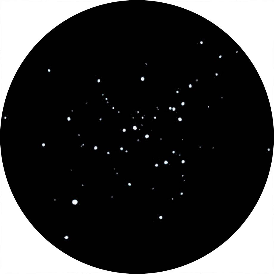 Imagen de Messier 41 tomada con un Newton de 8" a 40 aumentos. Michael Vlasov