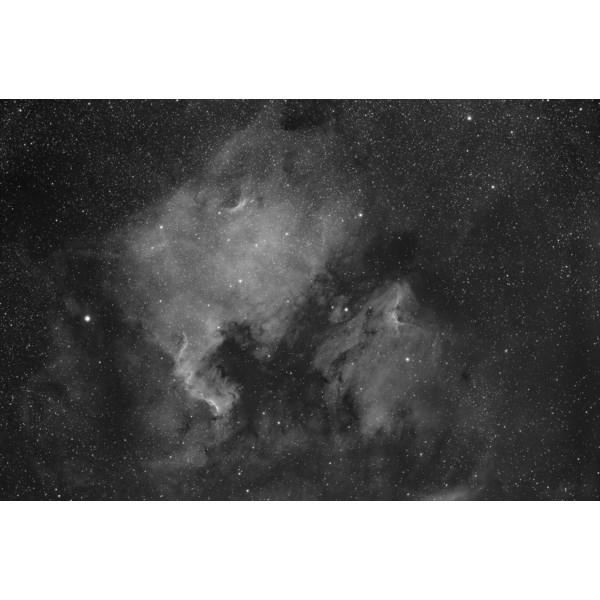 Starlight Xpress Cámara CCD monocromática SXVR-H35