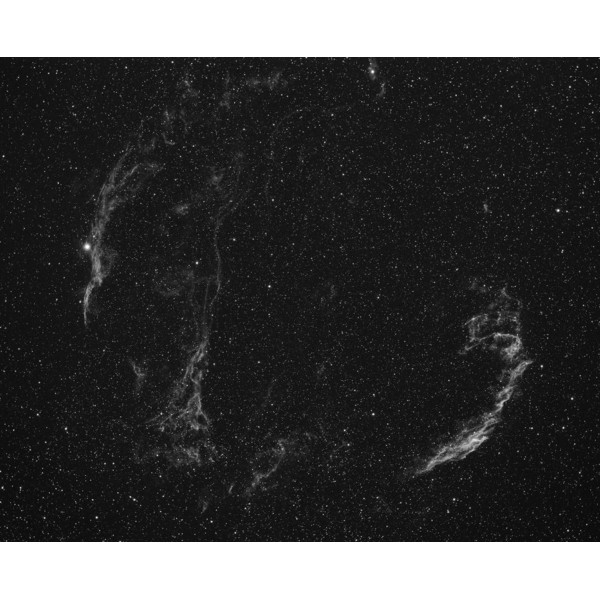 Starlight Xpress Cámara CCD monocromática SXVR-H36