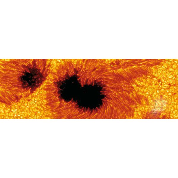 Palazzi Verlag Póster Manchas Solares