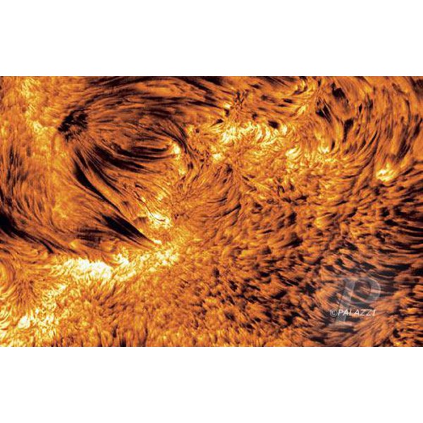 Palazzi Verlag Póster "Sol activo"