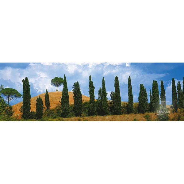Palazzi Verlag Póster Impresión sobre lienzo Val D'orica, Toscana