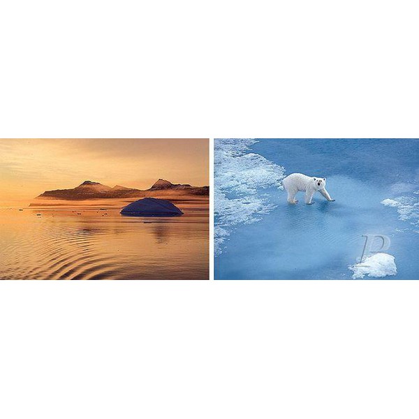 Palazzi Verlag Póster Impresión sobre lienzo Oso Polar Thule