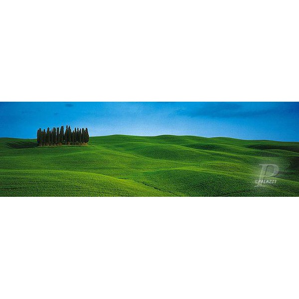 Palazzi Verlag Póster Árboles, Toscana