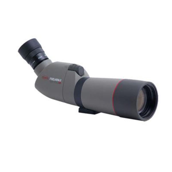 Kowa Catalejo TSN-663 Prominar 66mm, de posición de observación inclinada