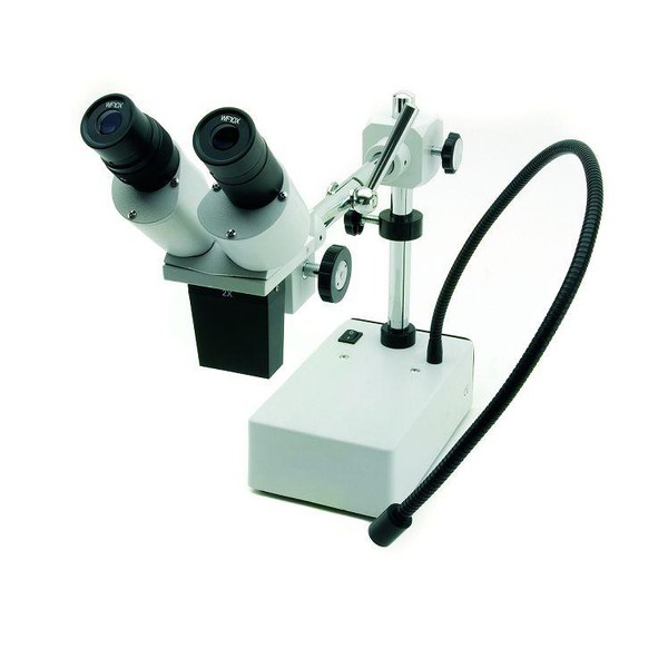 Windaus Lupa estereo Microscopio HPS 50 con lámpara LED cuello de cisne