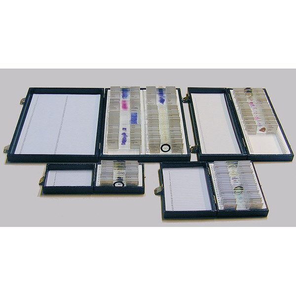 Windaus Caja estándar para almacenamiento de 100 portaobjetos