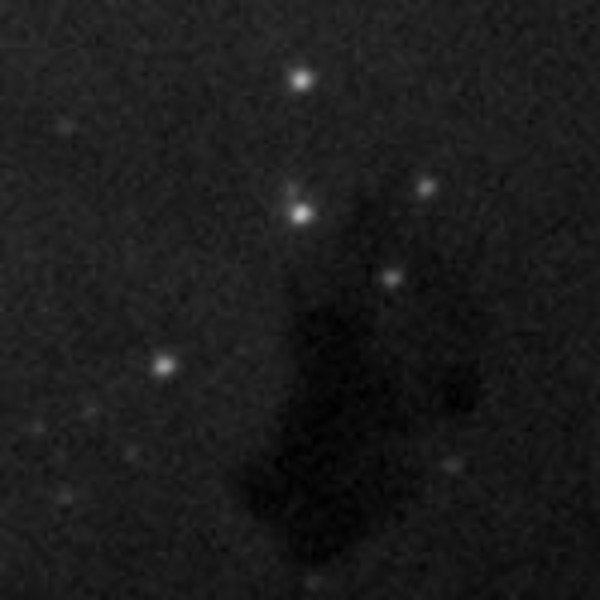 Orion Sistema de guiado SteadyStar Adaptive Optics (formato grande)