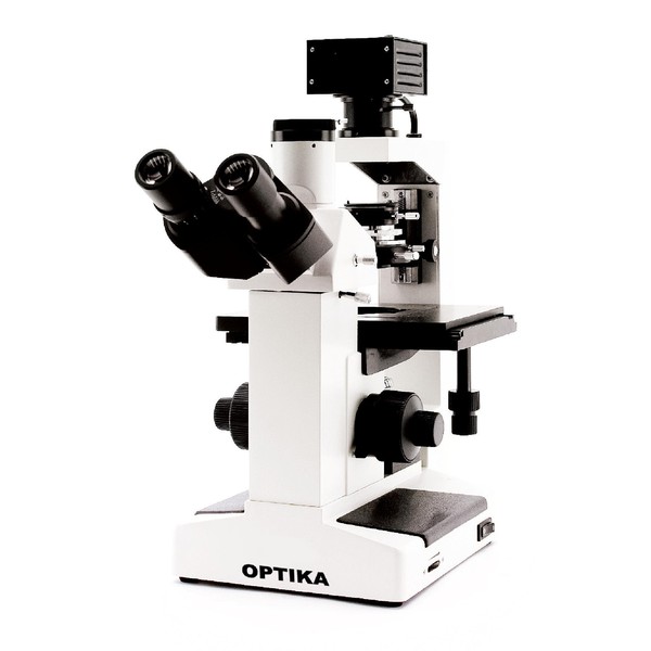 Optika Microscopio invertido XDS-1R
