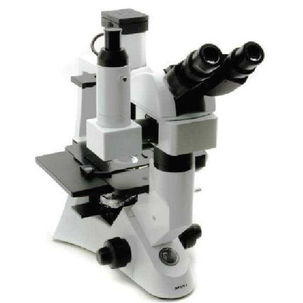 Optika XDS-2 ERGO, Microscopio invertido trinocular con cabezal Ergo, IOS, LWD, X-LED