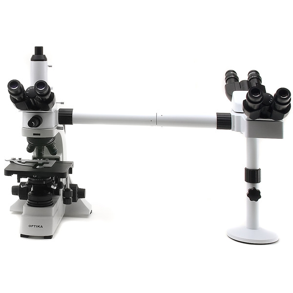 Optika B-500Ti-3, microscopio de discusión, 3 cabezales, Trinocular, 1000x, LED