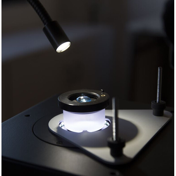 Optika Microscopio stereo zoom OPTIGEM-4, trinocular, gemología, trípode inclinable