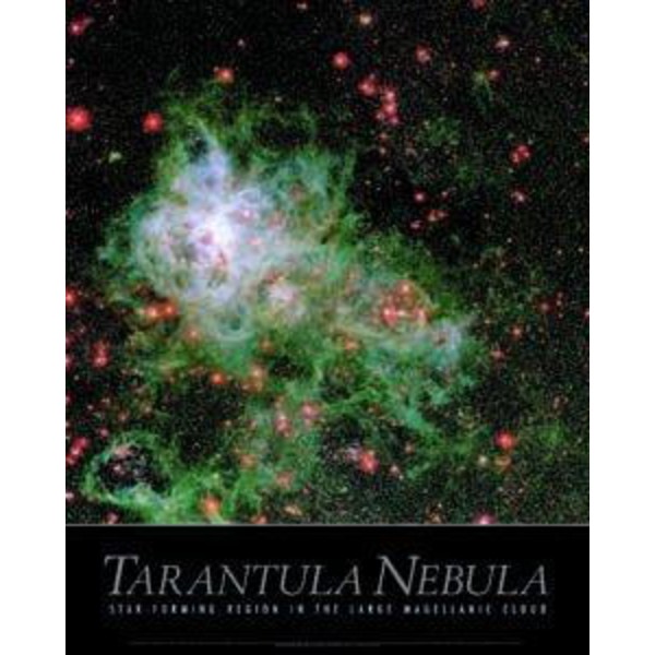 Póster Nebulosa de la Tarántula