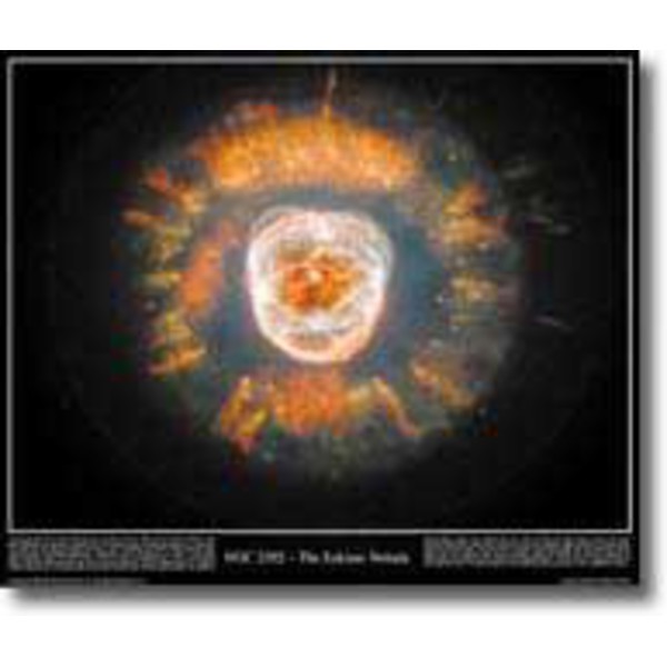 Póster Eskimo Nebula