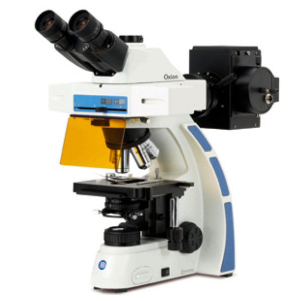 Euromex Microscopio OX.3085, trinocular, Fluarex, aceite