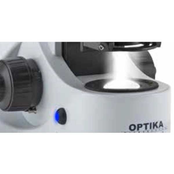 Optika Microscopio B-382Phi-ALC, plan, binocular, X-LED,