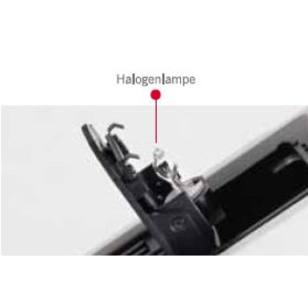 Motic Microscopio BA310E, Halogen, 40x -1000x, infinity, trino