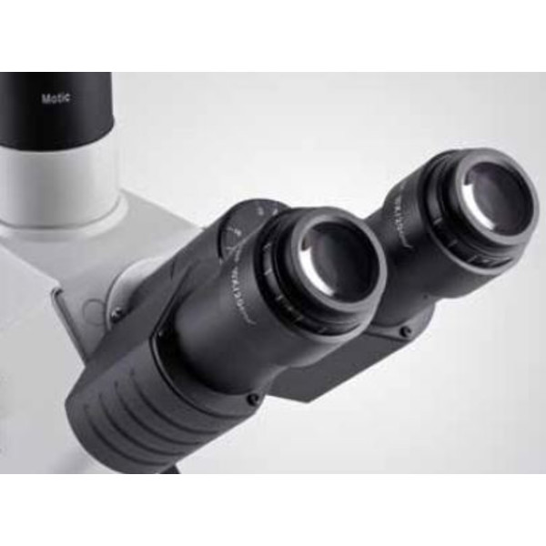 Motic Microscopio AE2000 con binocular invertido