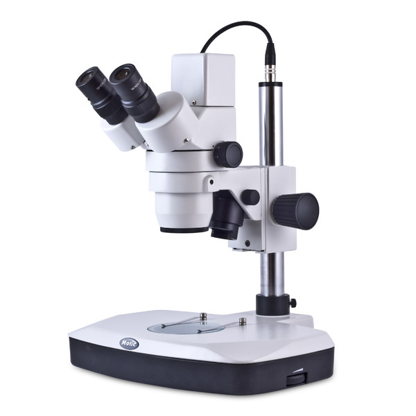 Motic Microscopio stereo zoom DM-143-FBGG, estéreo