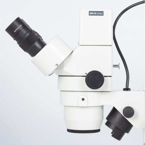 Motic Microscopio stereo zoom DM-143-FBGG, estéreo