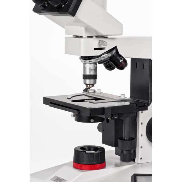 Hund Microscopio H 600 LL HP 100, campo oscuro