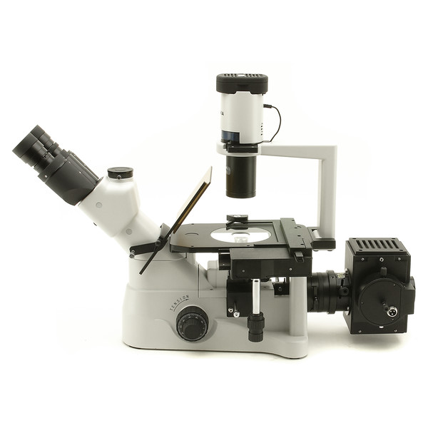 Optika XDS-3FL4, Trinocular, invertido, fluorescencia con 4 Alojamientos de filtro