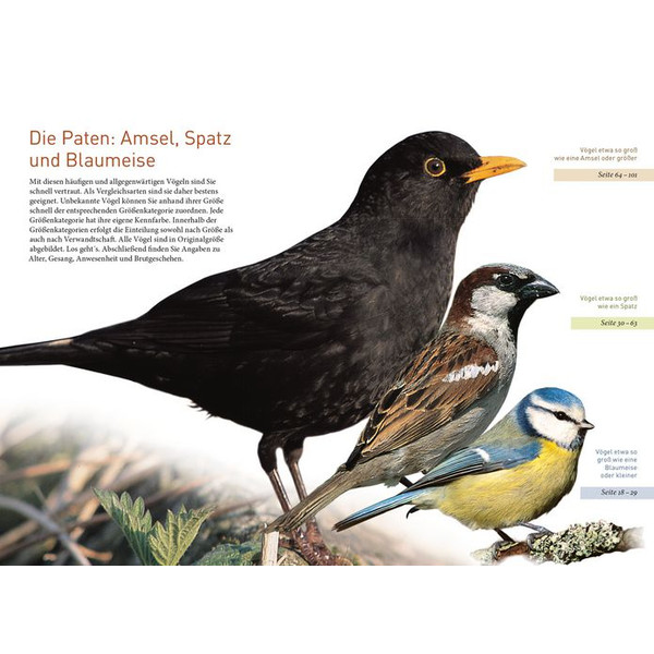 Kosmos Verlag Pájaros de jardín a tamaño real (libro "Gartenvögel lebensgroß" en alemán)
