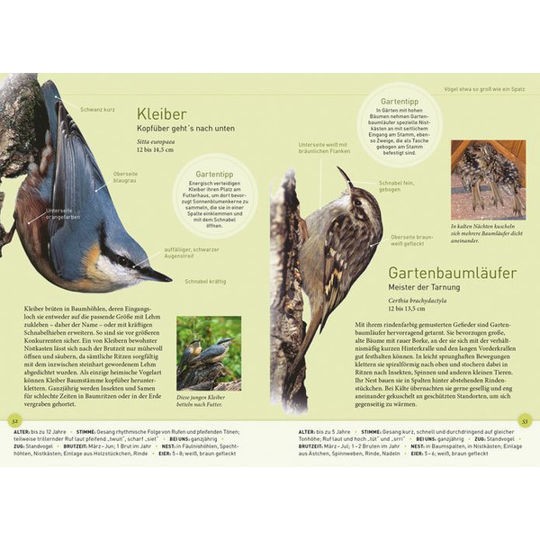 Kosmos Verlag Pájaros de jardín a tamaño real (libro "Gartenvögel lebensgroß" en alemán)