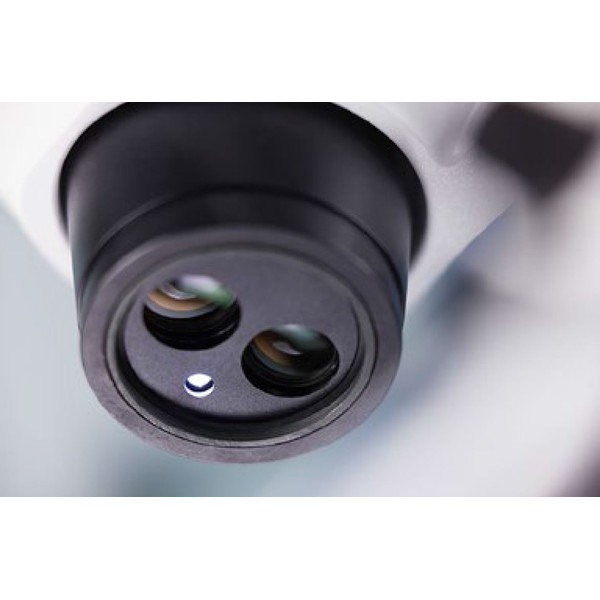 ZEISS Cabazal estereo microsopio Stemi 305; bino; clickstop; Greenough; w.d.110mm; 10x/23; Zoom 5:1; 0,8x-4,0x; LED; ESD