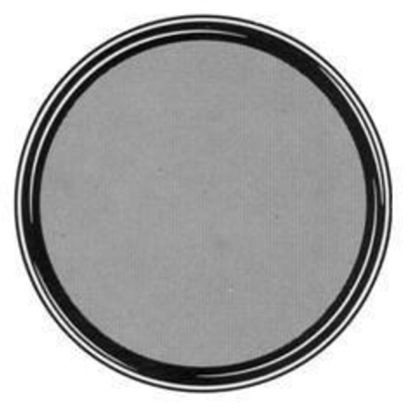 TS Optics Filtro de color gris, de  2'', del 13% de transmisión