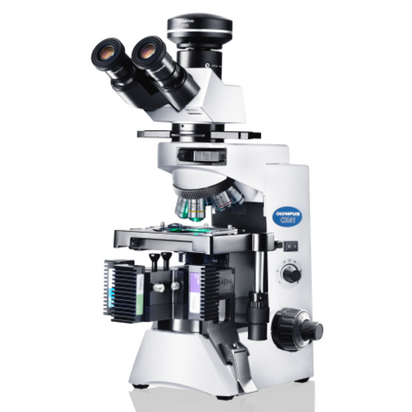 Evident Olympus Microscopio CX41 Fluorescencia, trino, Hal, 40x,100x, 400x