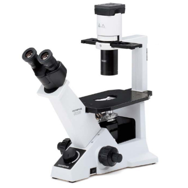 Evident Olympus Microscopio invertido CKX31 Fase, bino, Hal, 40x, 100x, 200x, 400x