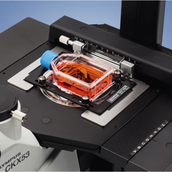 Evident Olympus Microscopio invertido Olympus CKX53 IPC/IVC V1, PH, trino, infinity, achro, 10x, 20x, 40x, LED