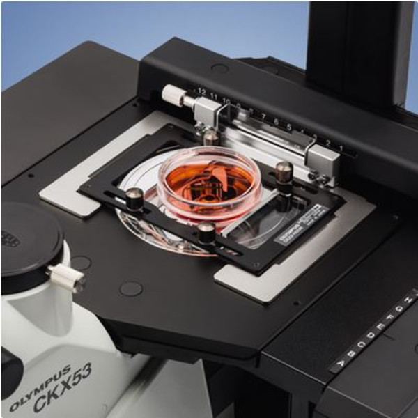 Evident Olympus Microscopio invertido CKX53, trino, 100x, 200x, 400x, IPC/IVC, platina x/y