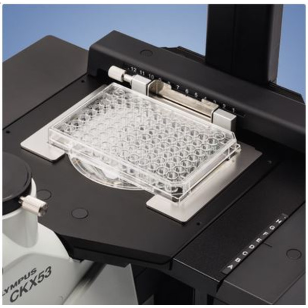 Evident Olympus Microscopio invertido Olympus CKX53 IPC/IVC V1, PH, trino, infinity, achro, 10x, 20x, 40x, LED