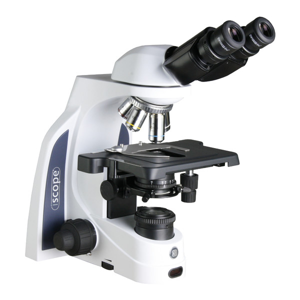 Euromex Microscopio iScope IS.1152-PLi/DF, bino