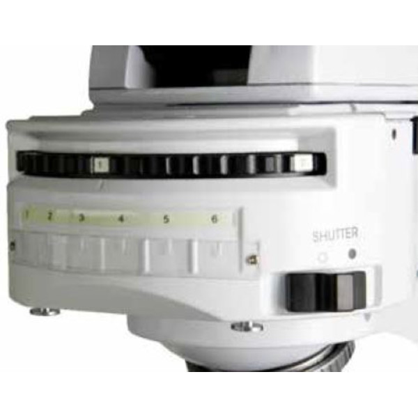 Euromex Microscopio iScope, IS.3152-PLi/6, bino