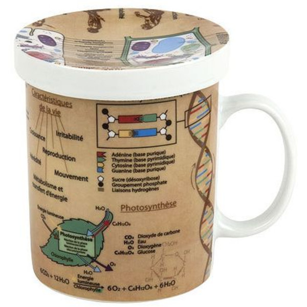 Könitz Taza Tasses Sciences de buveur de thè Biologie