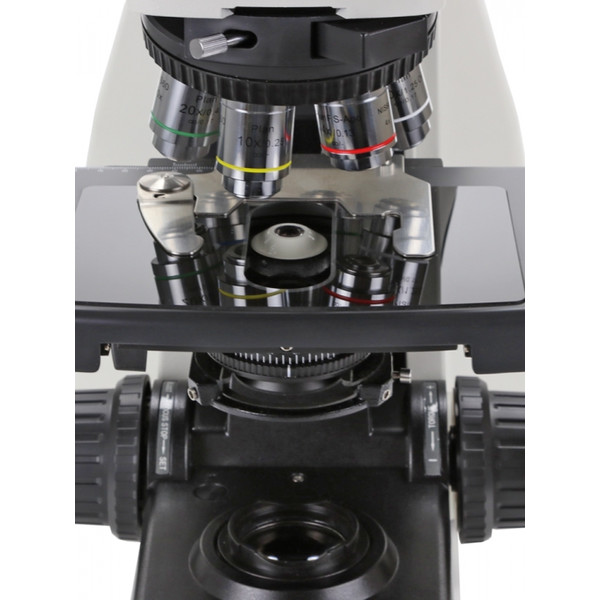 Euromex Microscopio DX.1153-APLi, trino, 40x - 1000x, fluarex