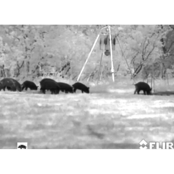 Armasight Cámara térmica Command 336, 8-32x100 (60 Hz)