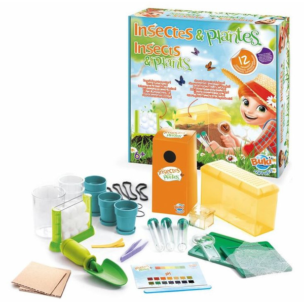 Buki Insectos y plantas