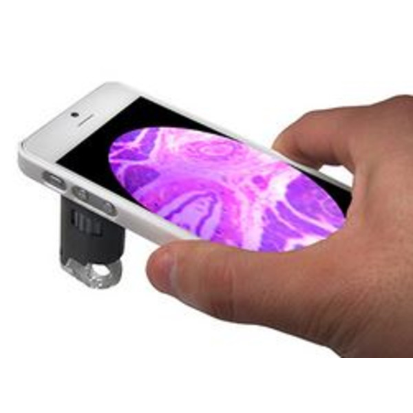 Carson MM-255, microscopio para smartphone, adaptador para iPhone 5